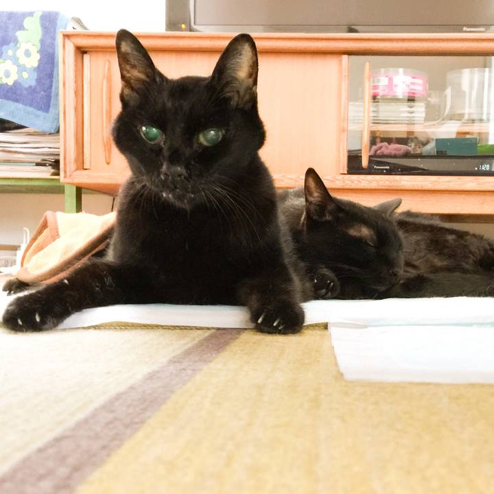 3a359aa6 a86d 4d13 b684 40901b552a73 1554539190858