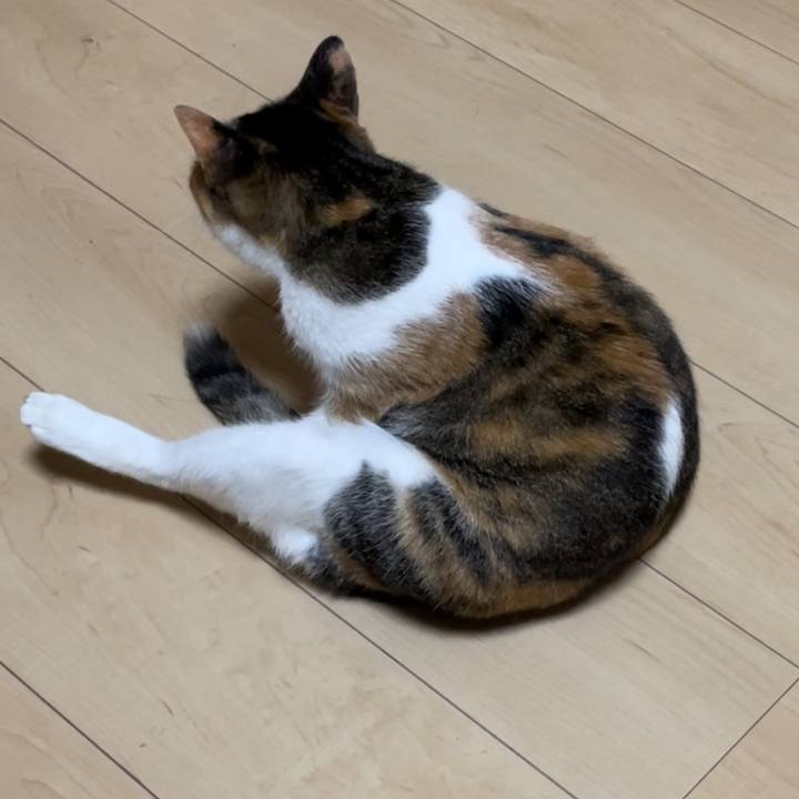 3a35bc2c 83af 4443 8573 7f91c3ee333a 1657280574659