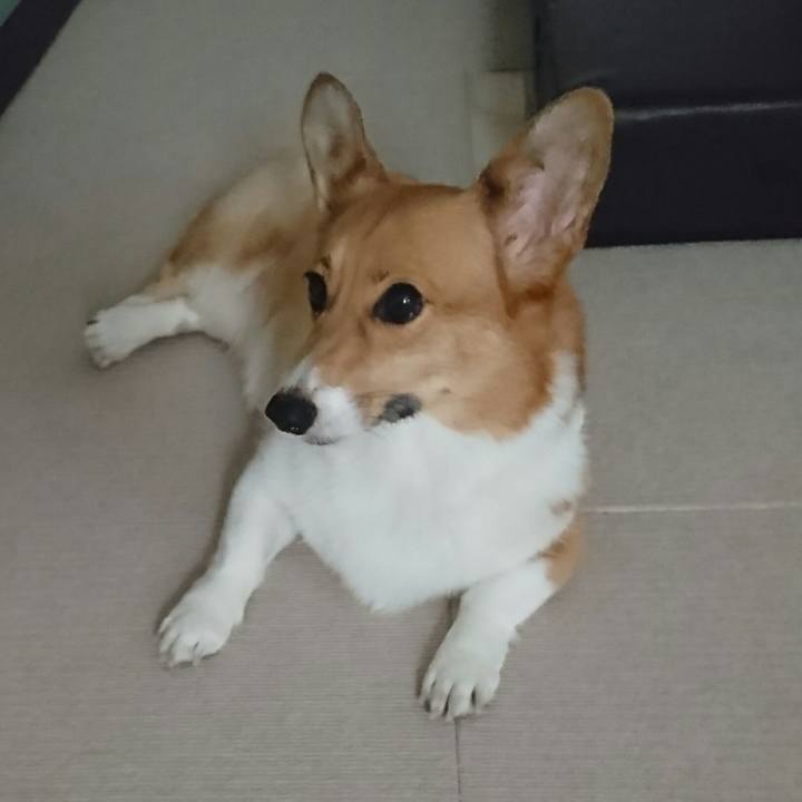 3a35bc44 c8a7 4564 ac30 ad00f509086c 1535322698899