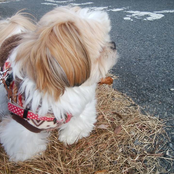 3a35cce1 199e 4b9a 977f 359022ba1a10 1512535972700