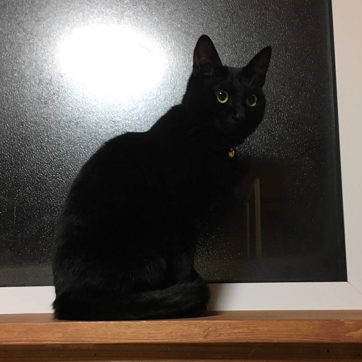 3a35feb0 f902 46ed bdce c519a7ee78c1 1520342170712