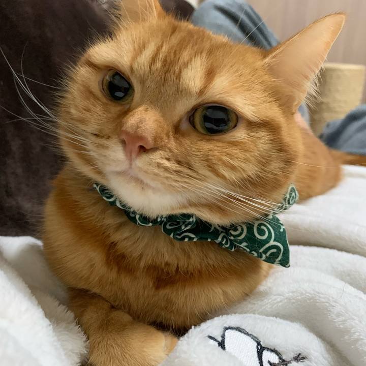 3a360b23 e072 4d32 adf6 1b2e309dd75b 1578231231744