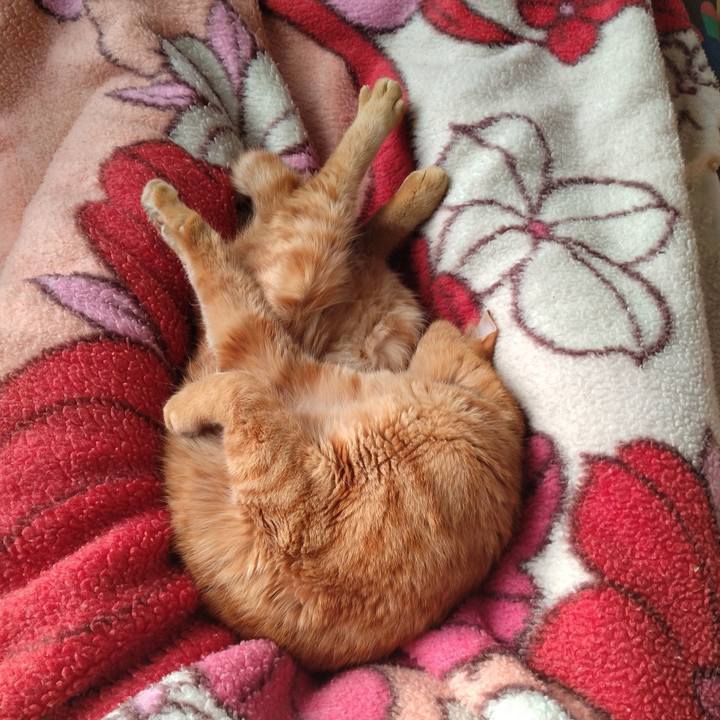 3a362ba4 edf0 4496 83cb e232ac42c54e 1670818191728