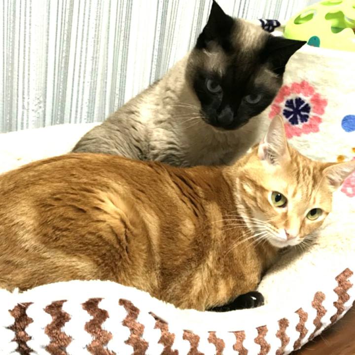 3a366b5c 64e5 4531 ae3d 002fb4595834 1525781874929