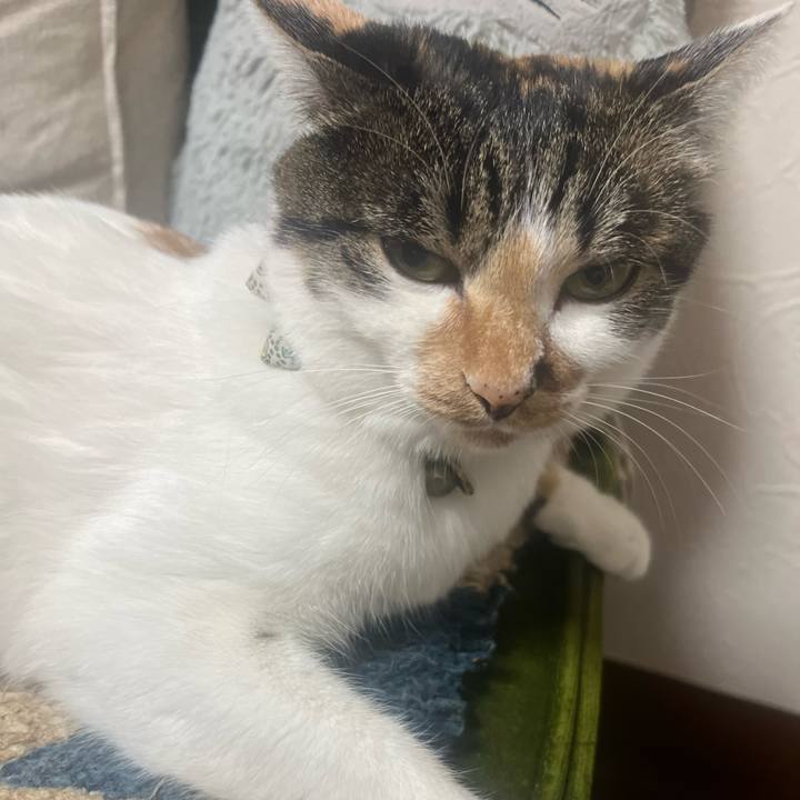 3a367cd1 b864 4e75 baf8 9b9f625aeb88 1767064444894