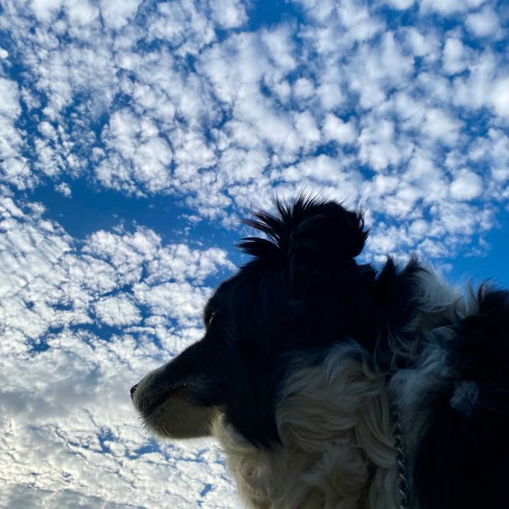 3a36b97f 7b8d 4edb b2a7 0e0696334e12 1717147390159