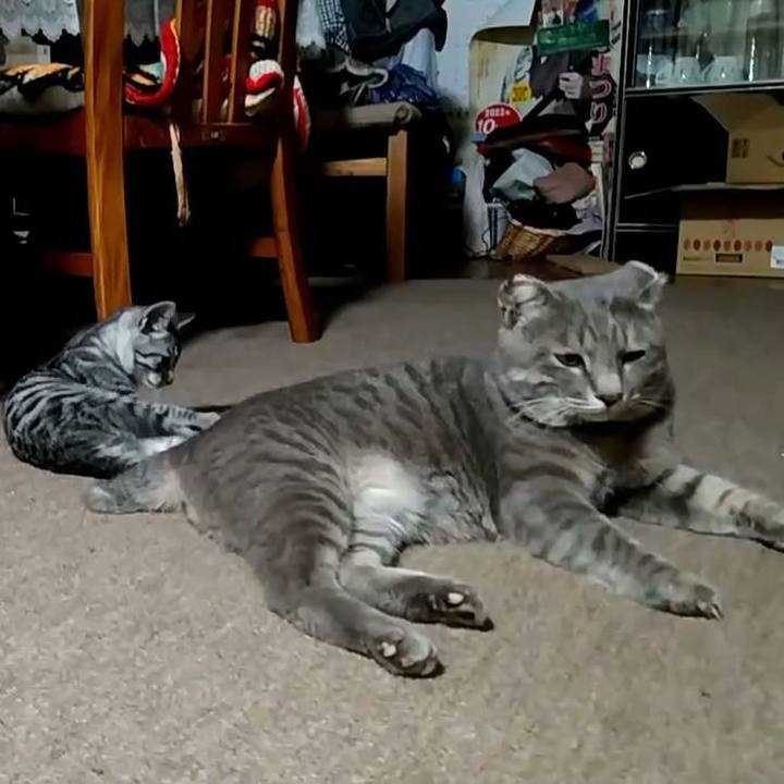 3a36c05d d1c6 47b0 aefa 400514862c16 1692887762587