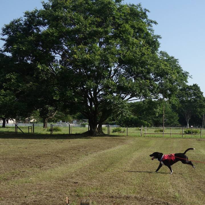 3a36cf0a a398 41af b808 2de75fc6db66 1684375142674