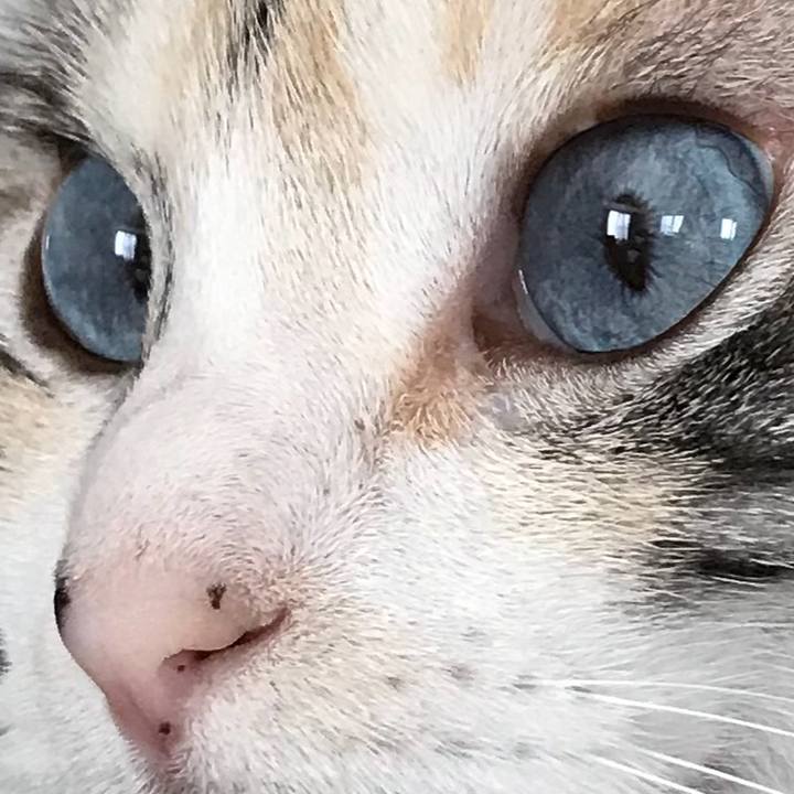 3a36d3f8 da6d 47dd acc7 6055cd5edd75 1527900610980