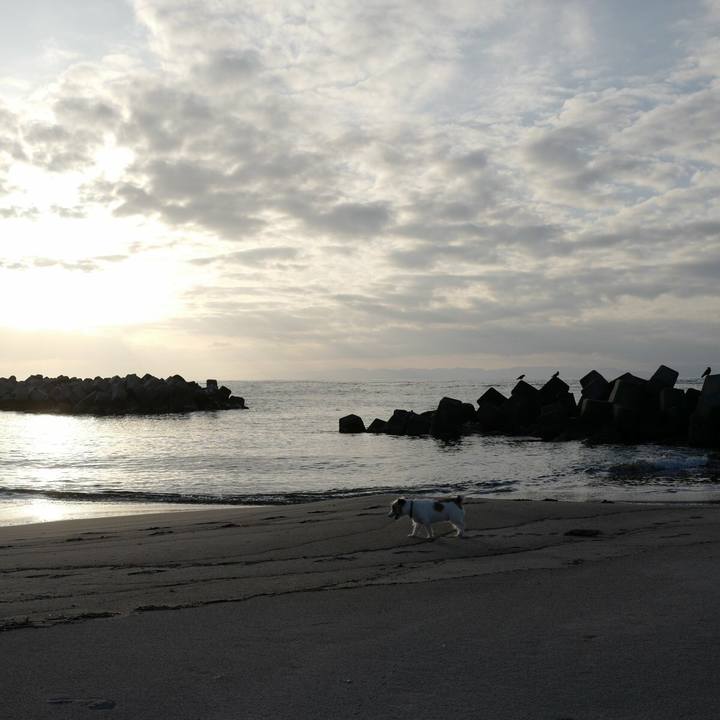 3a370829 84ba 4ae3 8487 4789ce0a6ad6 1520744807921