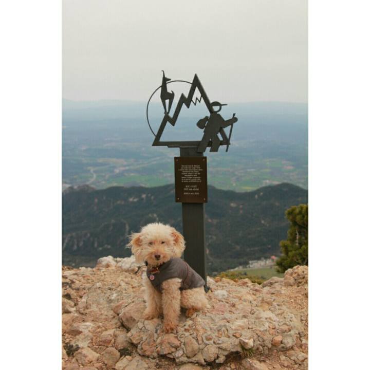 3a3720cd 005a 4564 a3fe 7878c9353a57 1556469266927