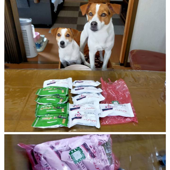 3a37327e 3983 41c6 95c8 949b730d4420 1774775037226