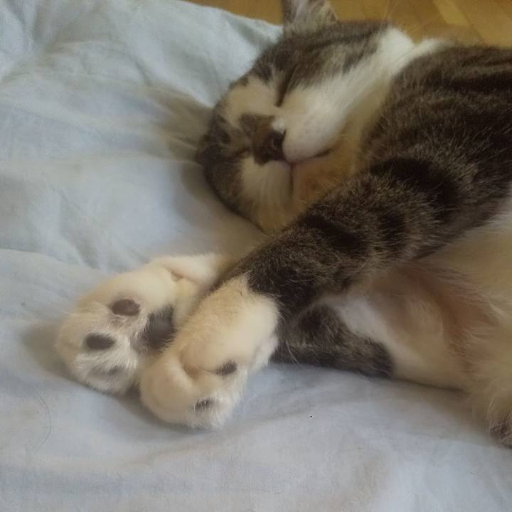 3a373b48 05ac 4a1a a0b4 ab70af6f49da 1751258221020