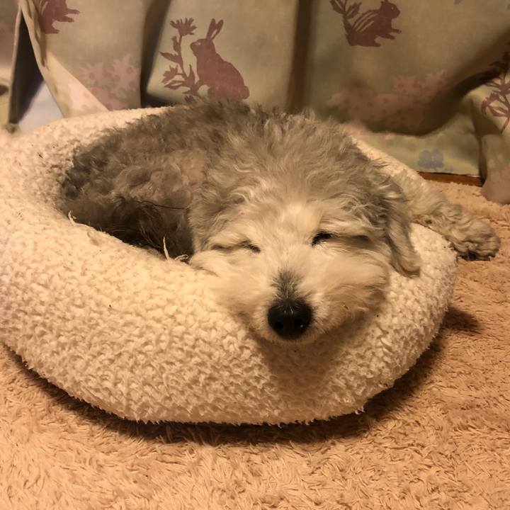 3a376295 bd64 4241 815d 3202ad53b512 1612742555970