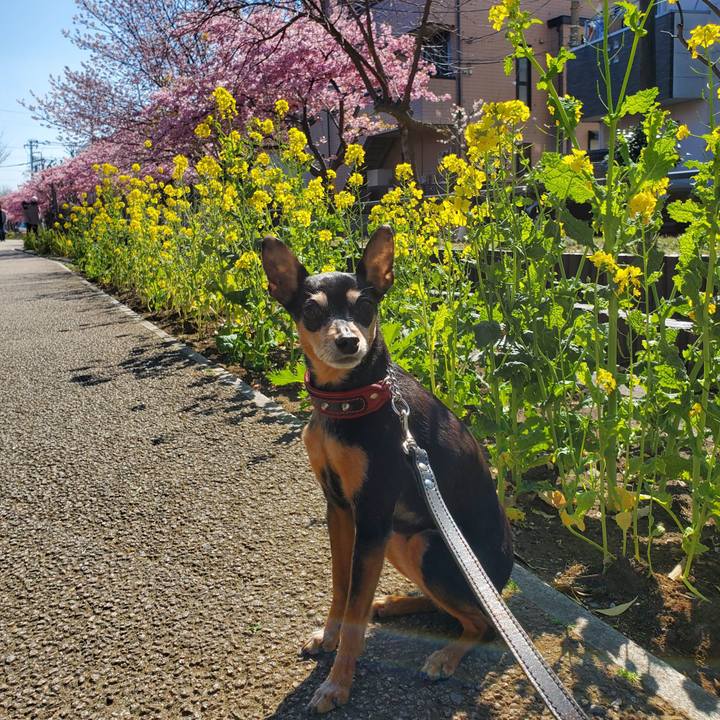 3a37949d 3190 4583 8454 17122ca93754 1740808931681