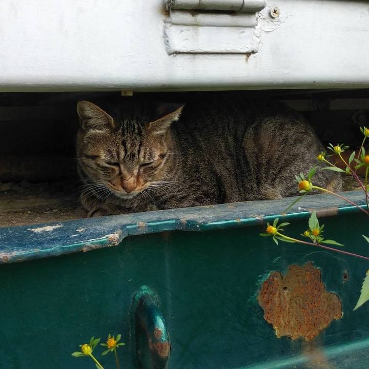 3a37cac8 0763 4278 848c fc7152e320d0 1601945646641