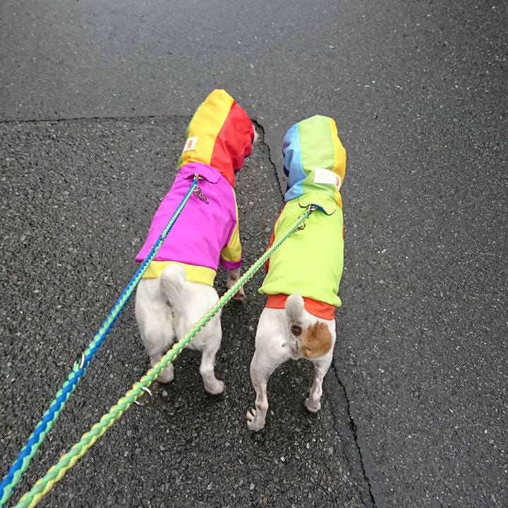 3a37d93e fbf6 4a6b b4f8 e9b809b33348 1593506308244