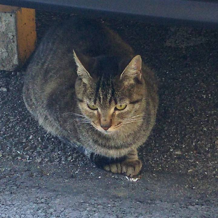 3a37feae 5e2b 48c2 97e4 44b36f98f75c 1512280487050