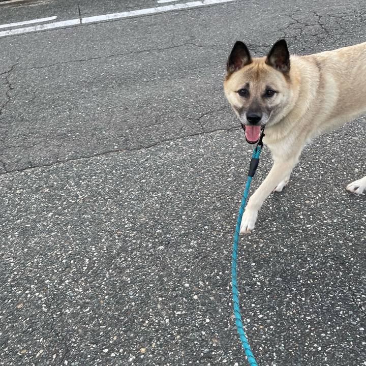 3a383db8 d888 40b4 a198 08b9157096a0 1689250873890