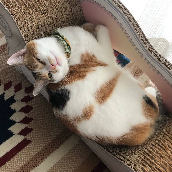 3a385b4d 80c4 4ff3 b3c0 d4fb8c964713 1592904399730