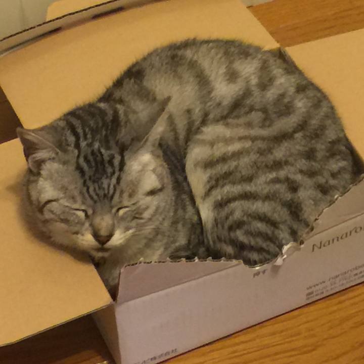 3a386222 8d95 422f 8e3d 7c90f3955c9c 1560170931599