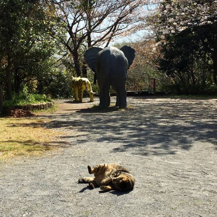 3a386f6e 6eba 484c b11b 91fc9cdc9d9b 1586245190738