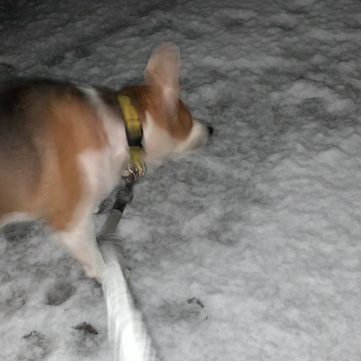 3a386fe5 1a9d 4bc1 a187 f36ed933167b 1707144299265