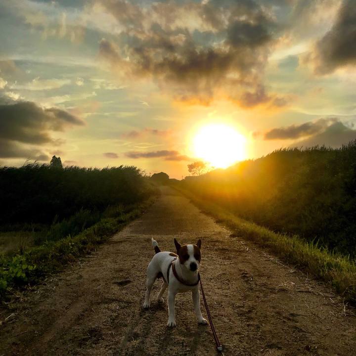 3a388132 35bb 474e a8d9 c819e03eeb43 1530191991468