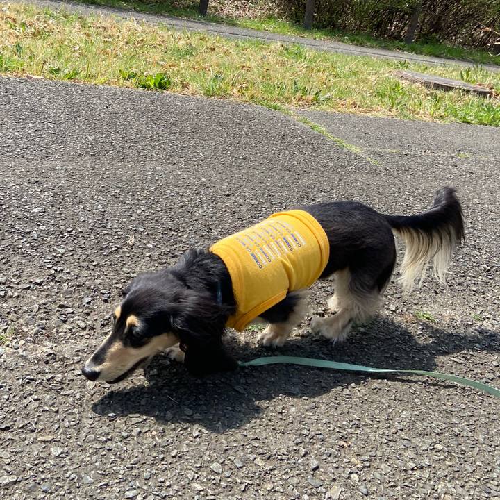 3a38f03a 62f2 4387 980c e0ef85f4b9e8 1743108642695