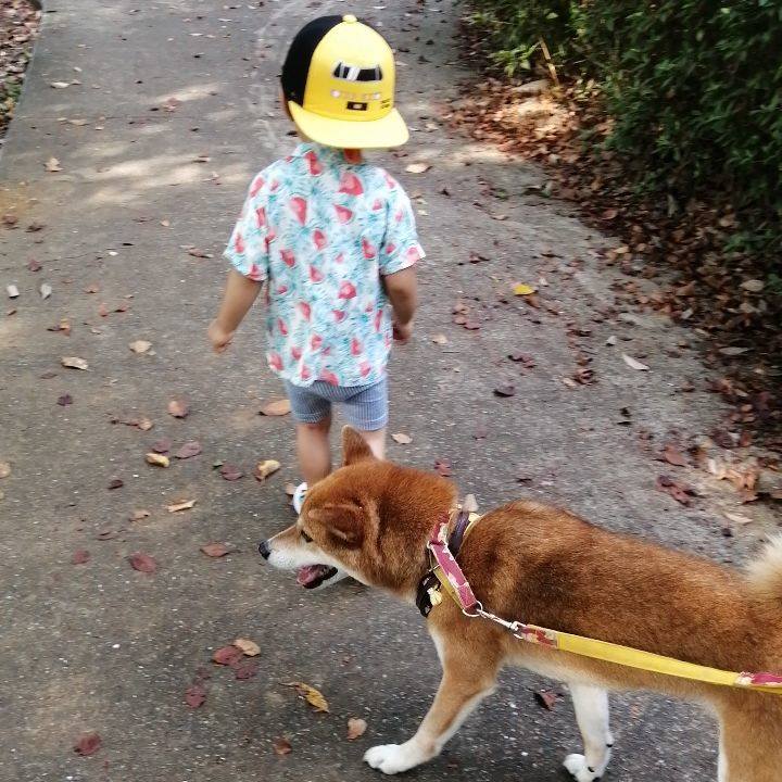 3a393271 8604 42e0 bb5e 23daf7030c2f 1597360192909