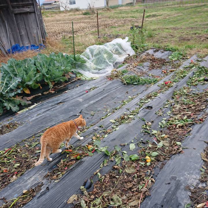 3a393ca7 6afa 4897 be12 e3ce3676a2b1 1573891134747