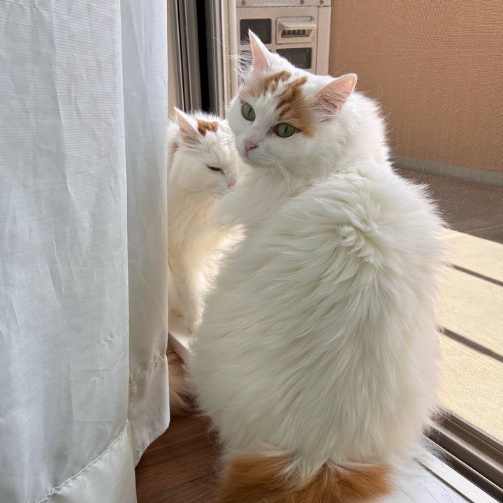 3a3950af 6c35 4f80 832c 9fa33cb0e68b 1775875111194