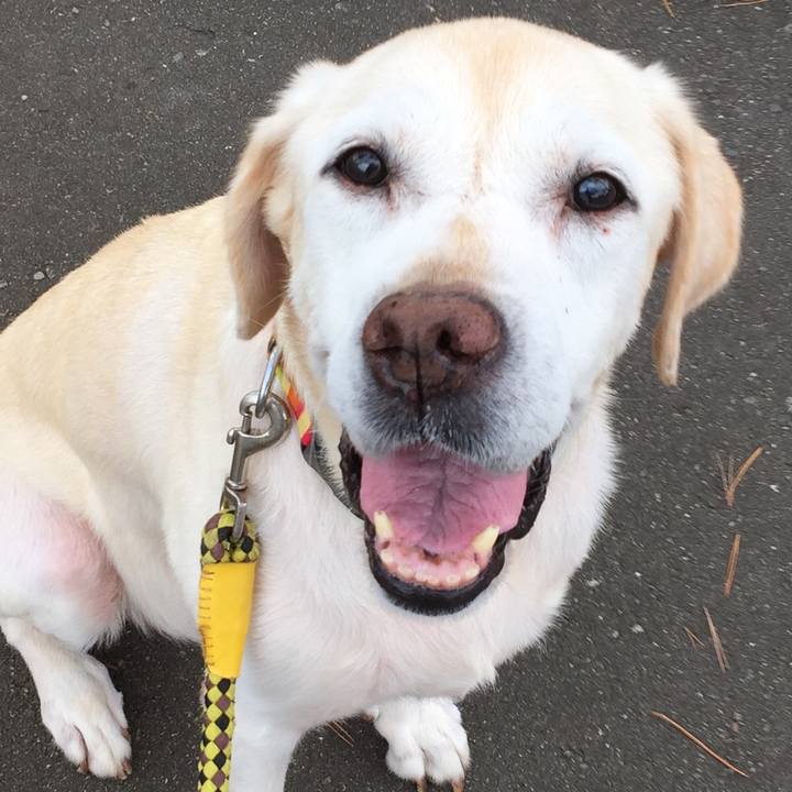 3a3953ab abe3 41b1 b987 885b5986655e 1595545174266