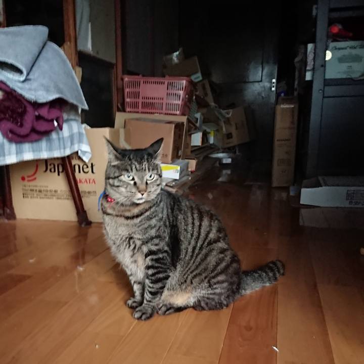 3a396fac ed94 4e18 b322 dec57d7a6a6b 1658608537772