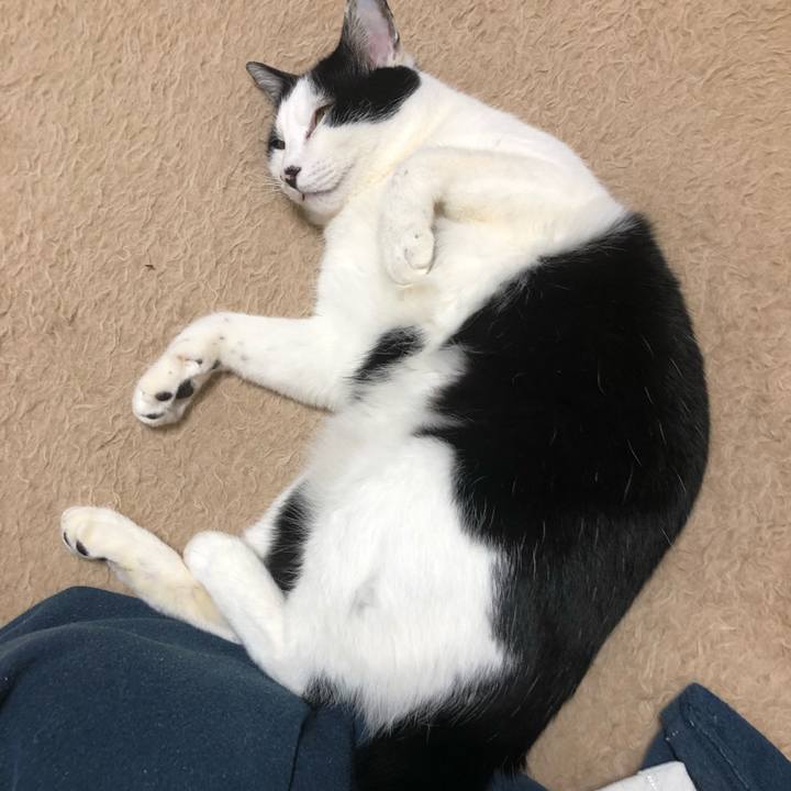 3a397786 3d18 4526 a91f 57f7b9bf1183 1547225621675