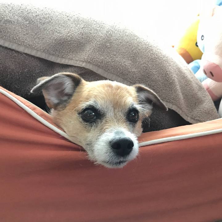 3a397db2 0591 4255 9afe c5496bb99637 1588807110886