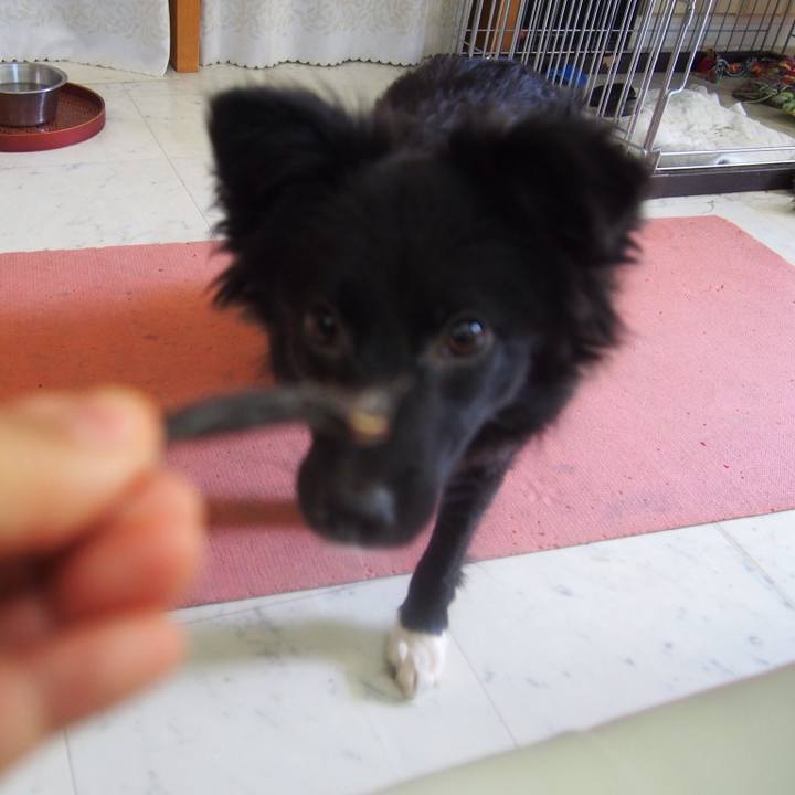 3a399f37 14e4 4451 97b4 d3192ee66e13 1521994197933