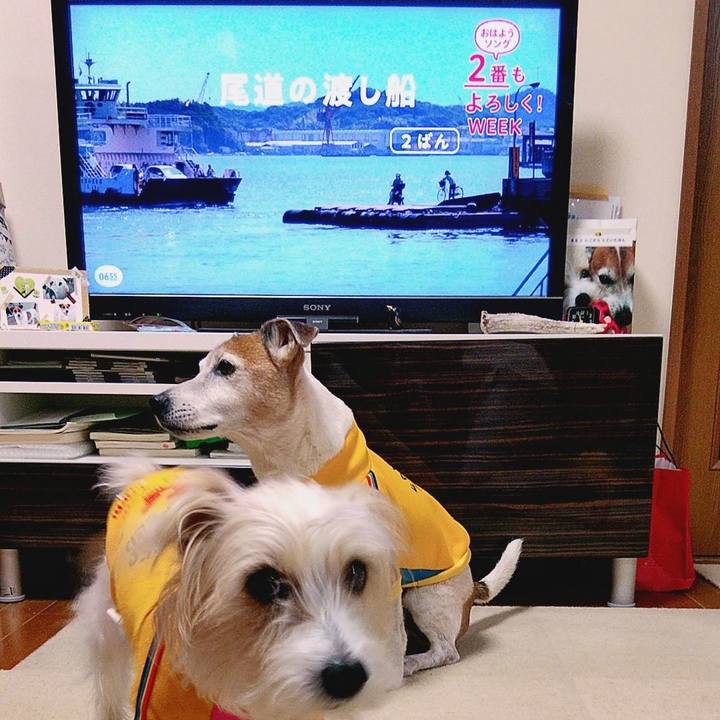 3a3a1c09 0957 4b66 9eb4 96bb901c7e01 1579558620729