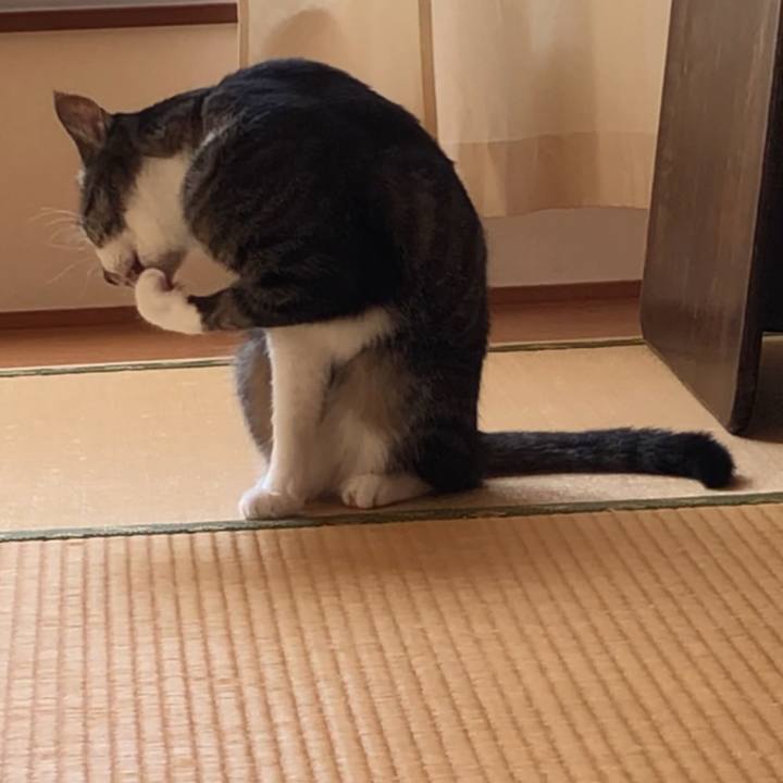 3a3a2660 2eee 4cb4 ac47 77b20a948b73 1537797565423