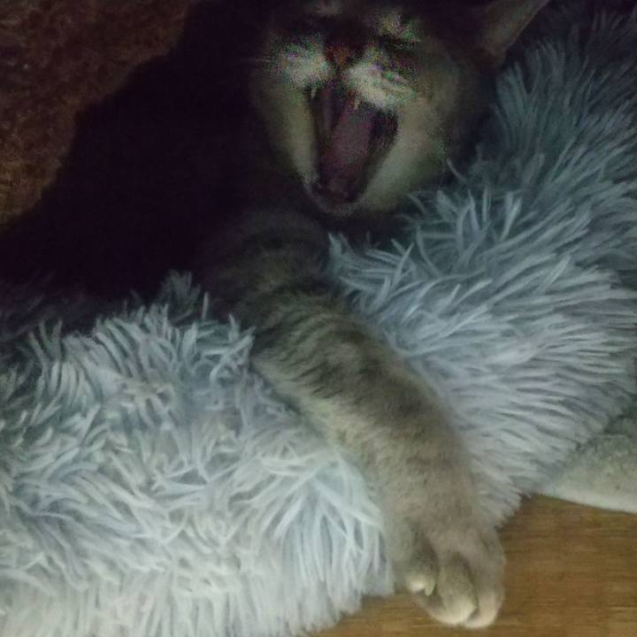 3a3a4eb2 fd35 4d5a 931c 7118c651a2f9 1676734228594