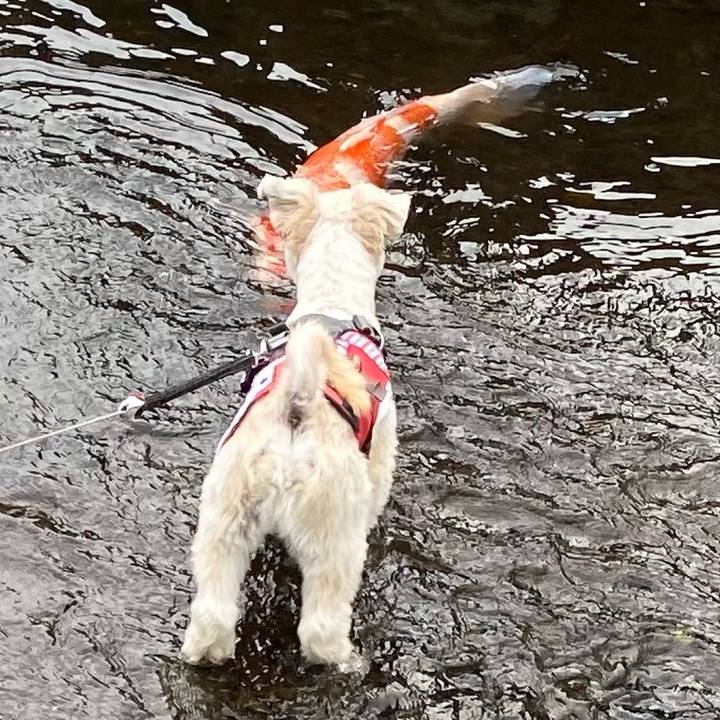 3a3a7ab3 68a3 4f2b ab5d 82ac3dc4e80f 1604914590333