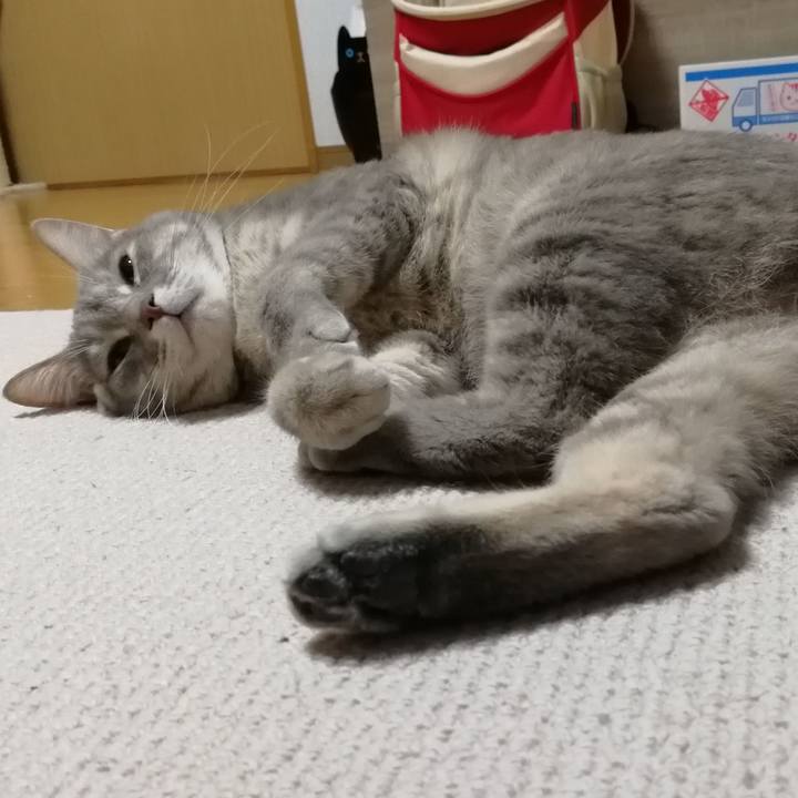 3a3ad15d fabd 40d8 abc1 9a791f2ef0e8 1519823001691