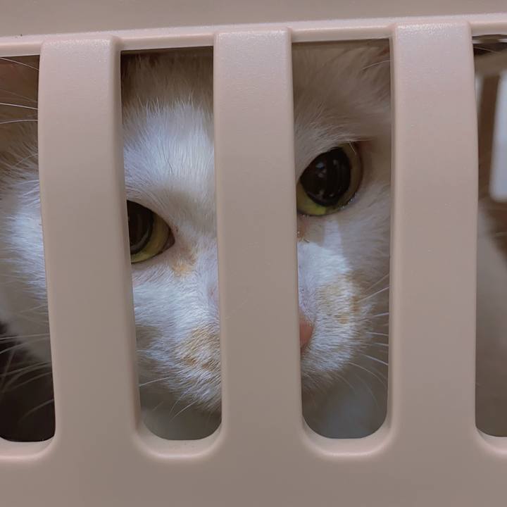 3a3b2a95 f935 4017 a65a 199e3ecf2caa 1691071372436