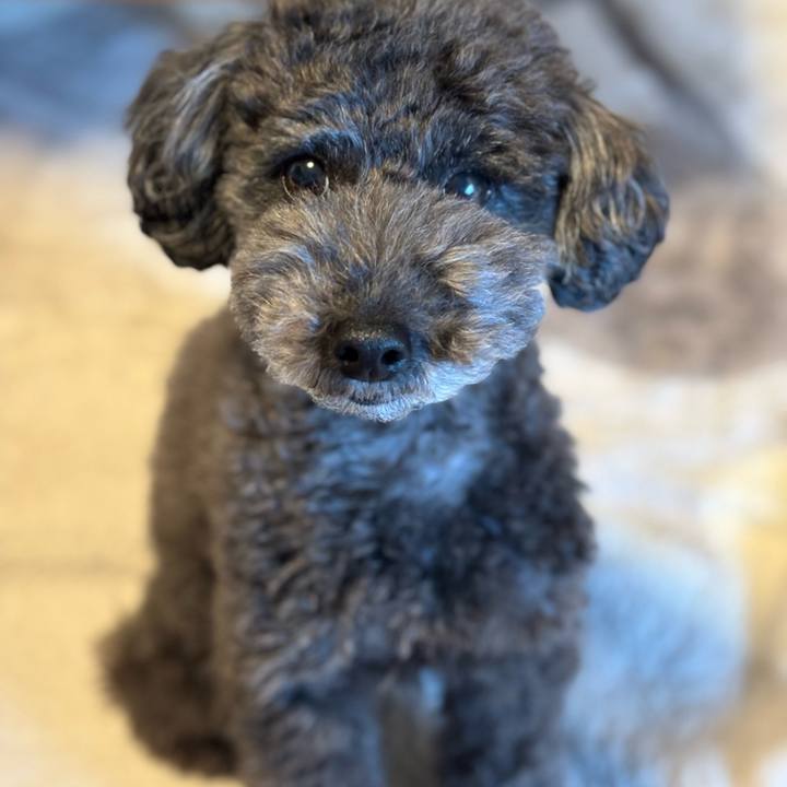 3a3b31d1 9300 459d 8fee 75c469dd6442 1703921642434