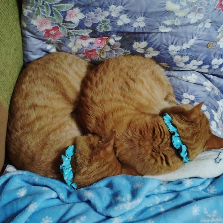 3a3b6cb9 610b 4bce 953d 6214e615cd9e 1727599445546