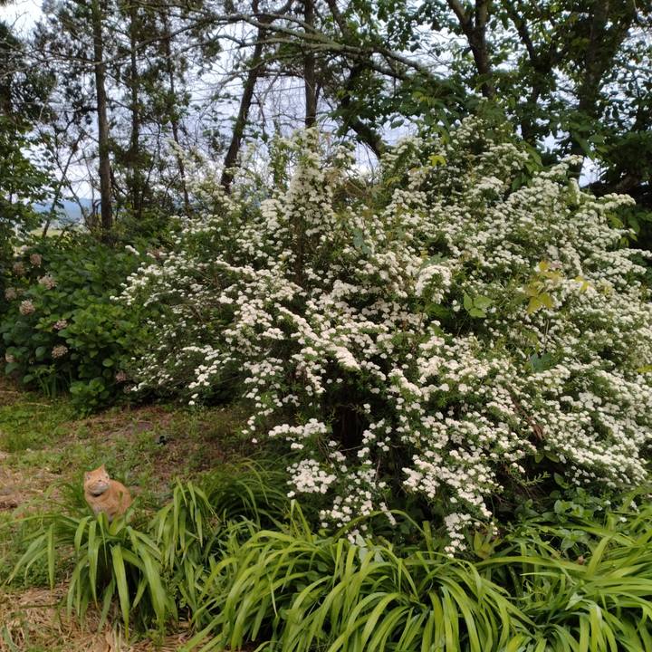 3a3b71b2 bfd5 4e0e 9e6d 29bb0cfbf8b6 1716848142083