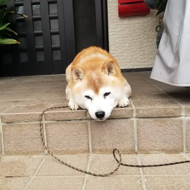 3a3b8017 7464 4586 a7e9 f74ed22afb0e 1728433431475