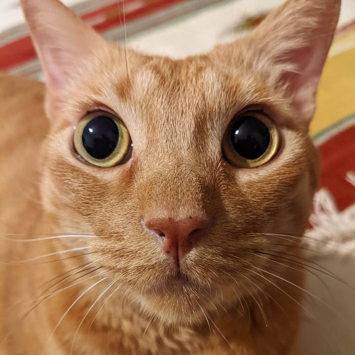 3a3b9d13 459e 48c9 b6c0 9852096f239f 1665662585299