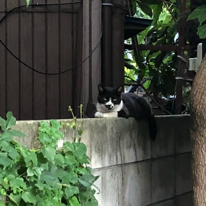 3a3bc697 9ad3 48ac b481 f2140b7d1e77 1531322762558