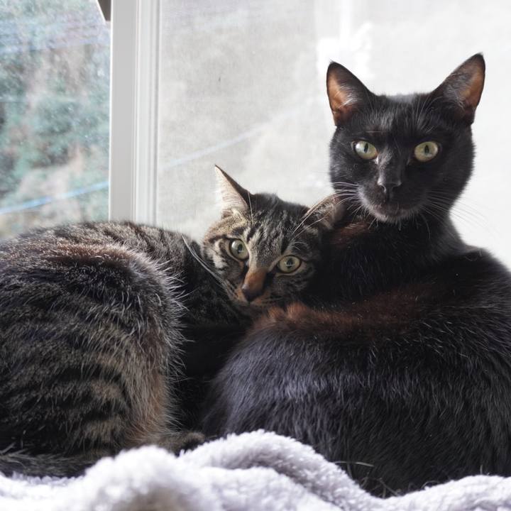 3a3beeef 0dcd 4a75 8e4a 37b184d34891 1646913263932